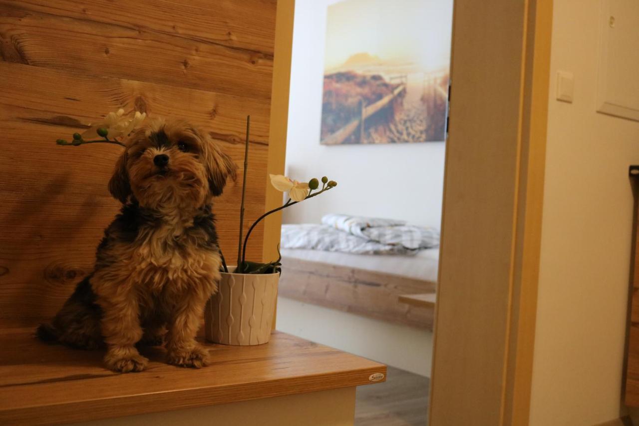 Zirben Diamant Rooms & Dogs Obdach 外观 照片